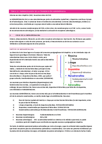 T13-FARMA.pdf
