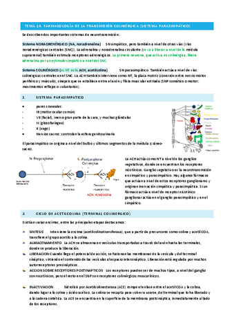 T14-FARMA.pdf