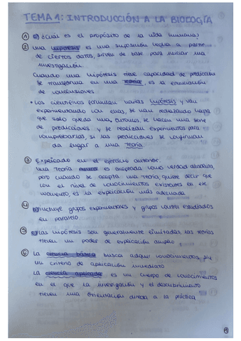 Ejercicios-tema-1-y-2.pdf