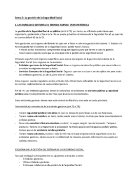 Tema 3.pdf