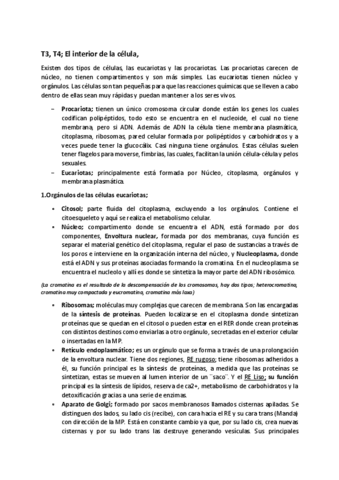 El-interior-de-la-celula.pdf