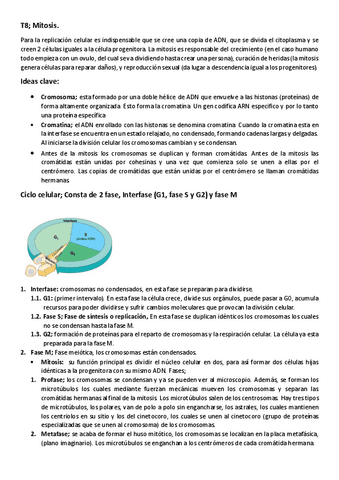 Mitosis-y-Meiosis.pdf
