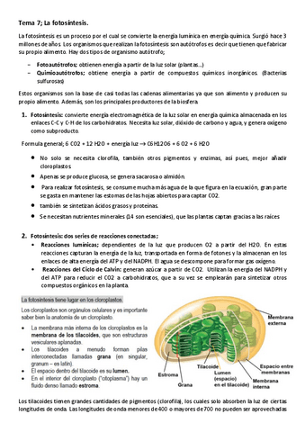 Tema-7-Fotosintesis.pdf