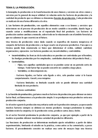 TEMA-5.-La-produccion.pdf