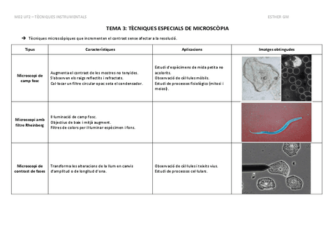 TEMA-3-NF2-UF2-Taula-Resum.pdf