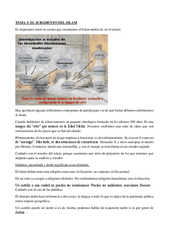 Tema-3-Historia-Medieval-Universal.pdf