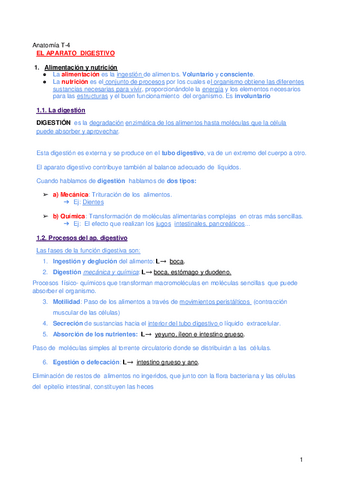 Anatomia-T-4-Digestion.pdf