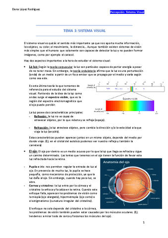 PERCEPCION-TEMA-3-s.visual.pdf