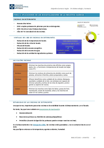 Tema-6-Biocatalisis.pdf
