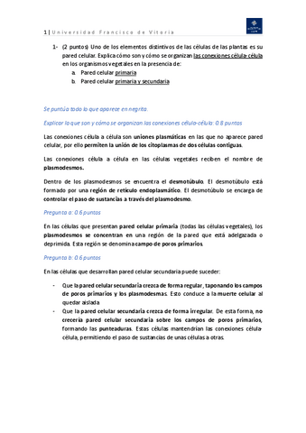 Examen-parcial-7-04-21-resolucion.pdf