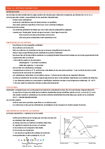TEMA-12.pdf