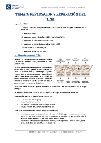 Tema-3-Genetica-Molecular.pdf