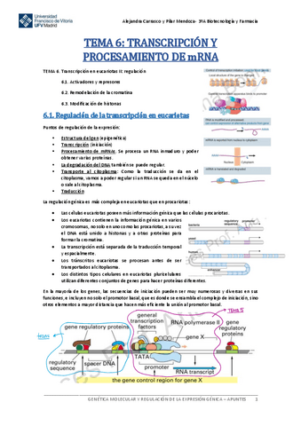 Tema-6-Genetica-Molecular.pdf