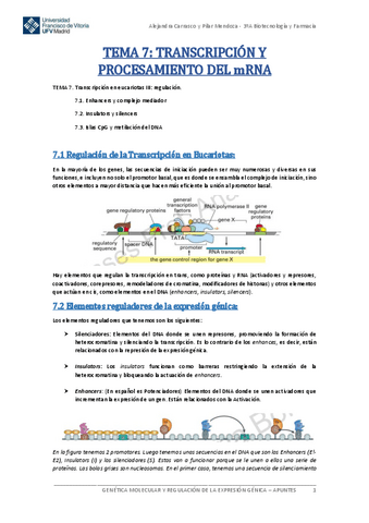 Tema-7-Genetica-Molecular.pdf