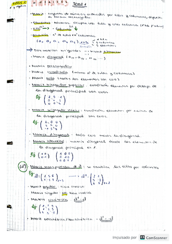 Apuntes-mates-BLOQUE-1matrices-sist.ecuaciones-determinantes.pdf