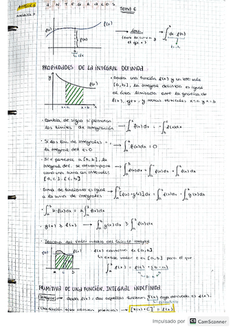 Apuntes-mates-Integrales.pdf