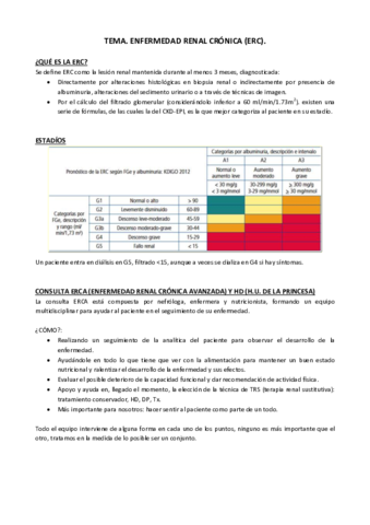 Tema ERC.pdf