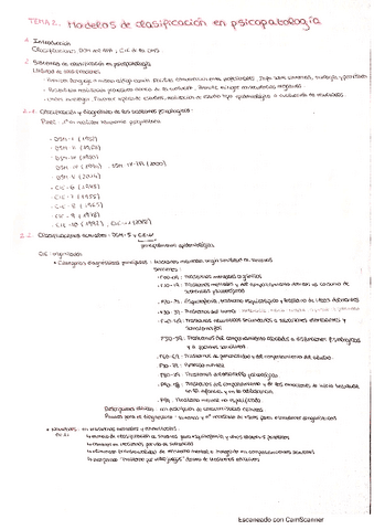 Psicopatologia-T2.pdf