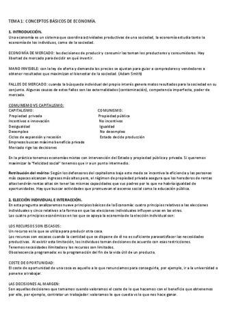 RESUMEN-ECONOMIA.pdf