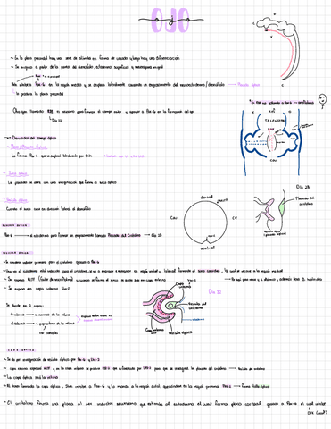 ojo.pdf