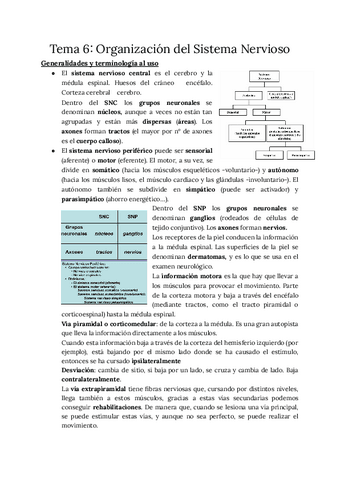 APUNTES-NEUROCIENCIAS-TEMA-6-21-22.pdf