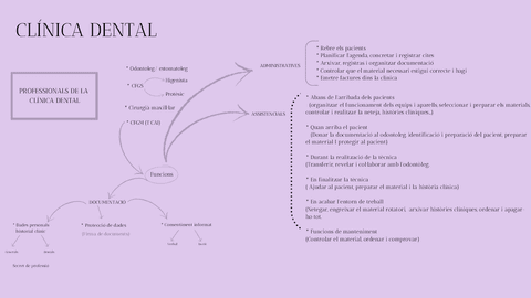Professionals-de-la-clinica-dental.pdf