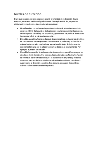 Niveles-de-direccion..pdf