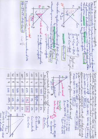 Tema-5-Teco.pdf