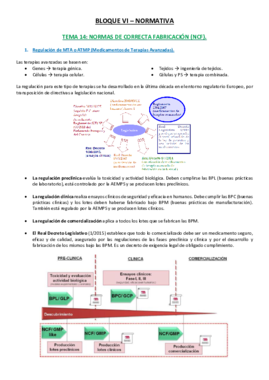 Tema 14 - Normas de Correcta Fabricación.pdf