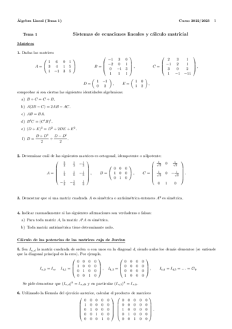 Problemasalgebratema1.pdf