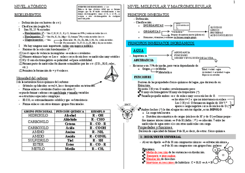 Esquema-bioelementos-y-agua.pdf