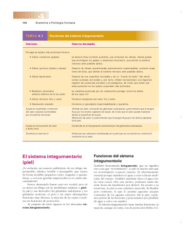 El-sistema-integumentario.pdf