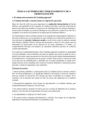 Tema 6.pdf
