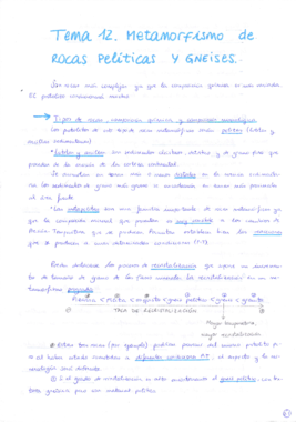 Tema 12 Petrología Metamórfica.pdf