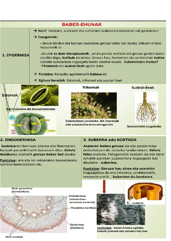 Bio-2.Evaluacion.pdf