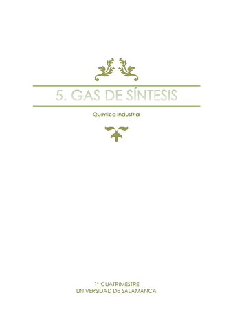 Resumen-Gas-de-sintesis.pdf