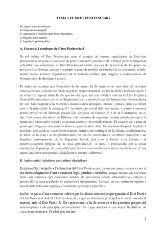 apuntes-y-test-penitenciari.-profe-talia-collantes.pdf