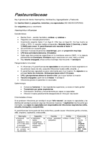 Pasteurellaceae.pdf