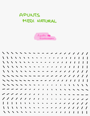 Resum-resums-Examen-Naturals.pdf