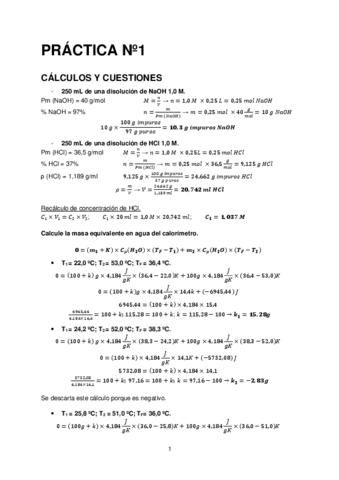 CALCULOS-PRACTICAS.pdf