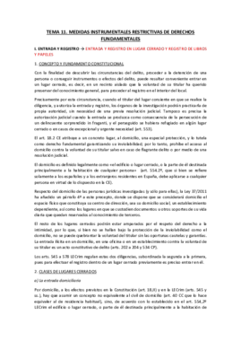 TEMA 11 PROCESAL PENAL.pdf