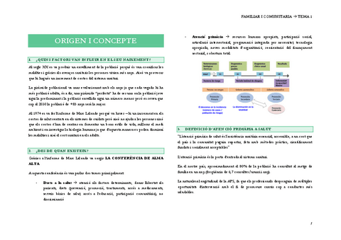 t-1.-Origen-i-concepte.pdf