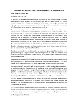 TEMA 12 PROCESAL PENAL.pdf