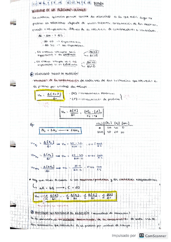 Apuntes-quimica-Cinetica-quimica.pdf