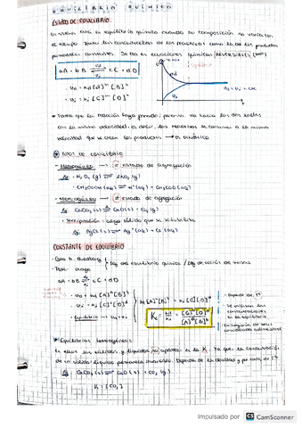 Apuntes-quimica-Equilibrio-quimico.pdf