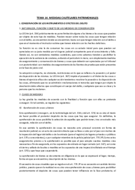 TEMA 14 PROCESAL PENAL.pdf