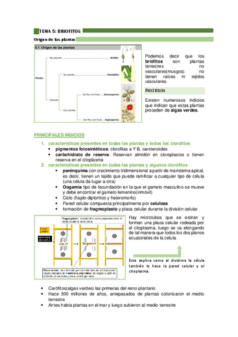 TEMA-5-BIOLOGIA-5.pdf