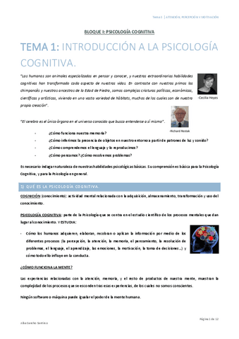 Atencion-Percepcion-y-Motivacion-Tema-1-Alba-Sancho.pdf