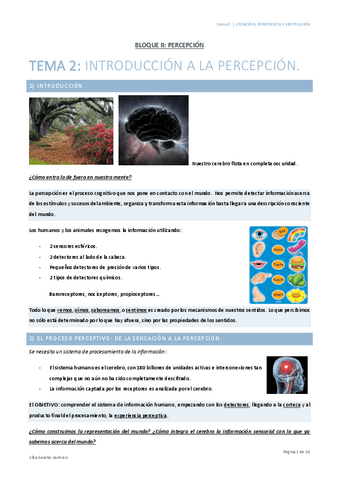 Atencion-Percepcion-y-Motivacion-Tema-2-Alba-Sancho.pdf