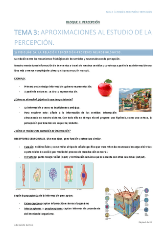 Atencion-Percepcion-y-Motivacion-Tema-3-Alba-Sancho.pdf